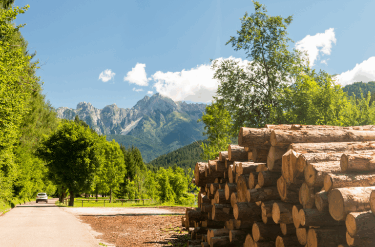 Timberland investment property with stacked logs, forested landscape, and mountain views representing resource-based family office holdings